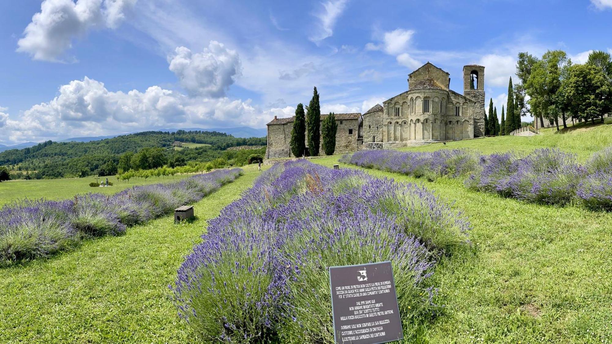 Casa Fiordaliso Pratovecchio
